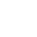 LYNX Permits